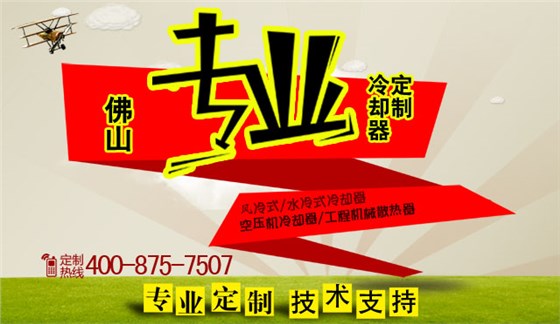 定制風冷卻器 定制風冷卻器