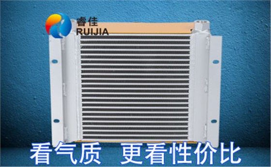 性價比高風(fēng)冷卻器